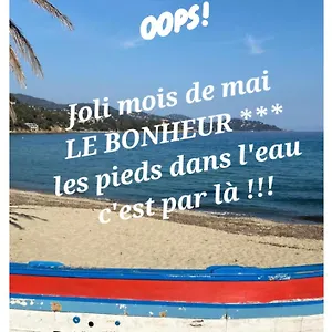 Splendide 6 P à 150 M Plage, à Pied , Le Lavandou France